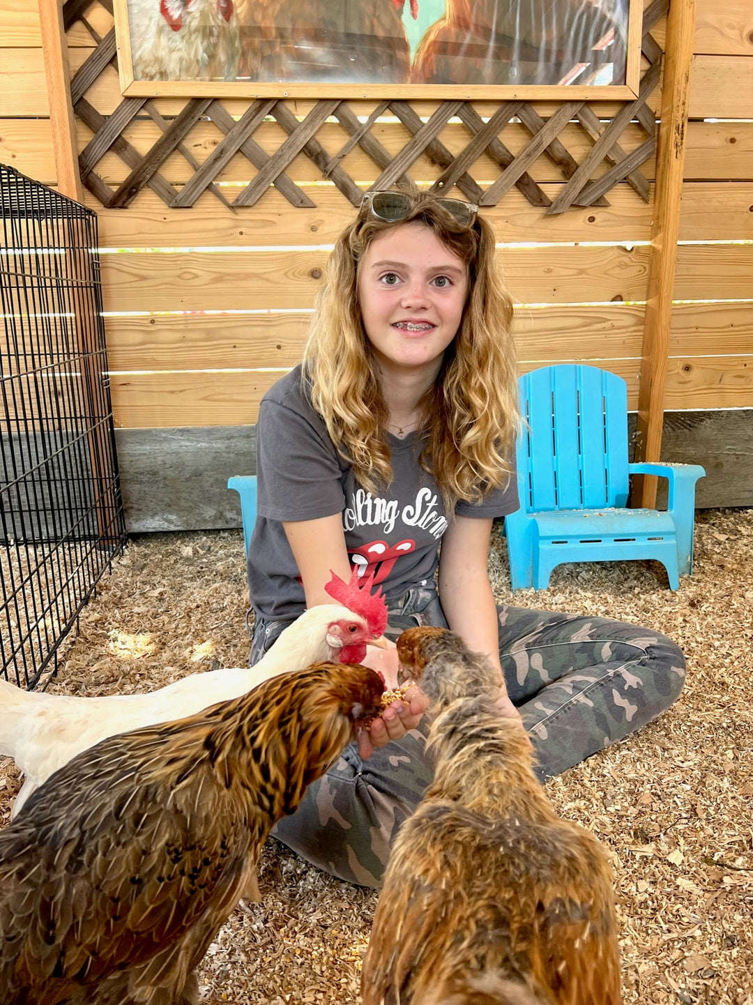 April 2024: Chickens & Eggs | After School Courses