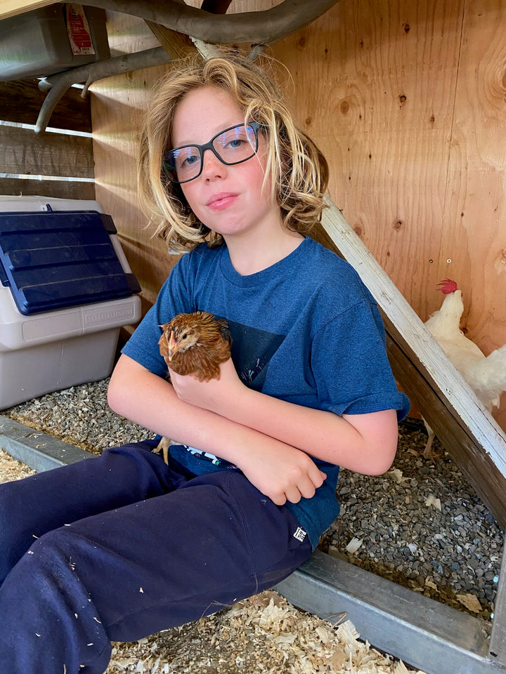 April 2024: Chickens & Eggs | Home School Courses