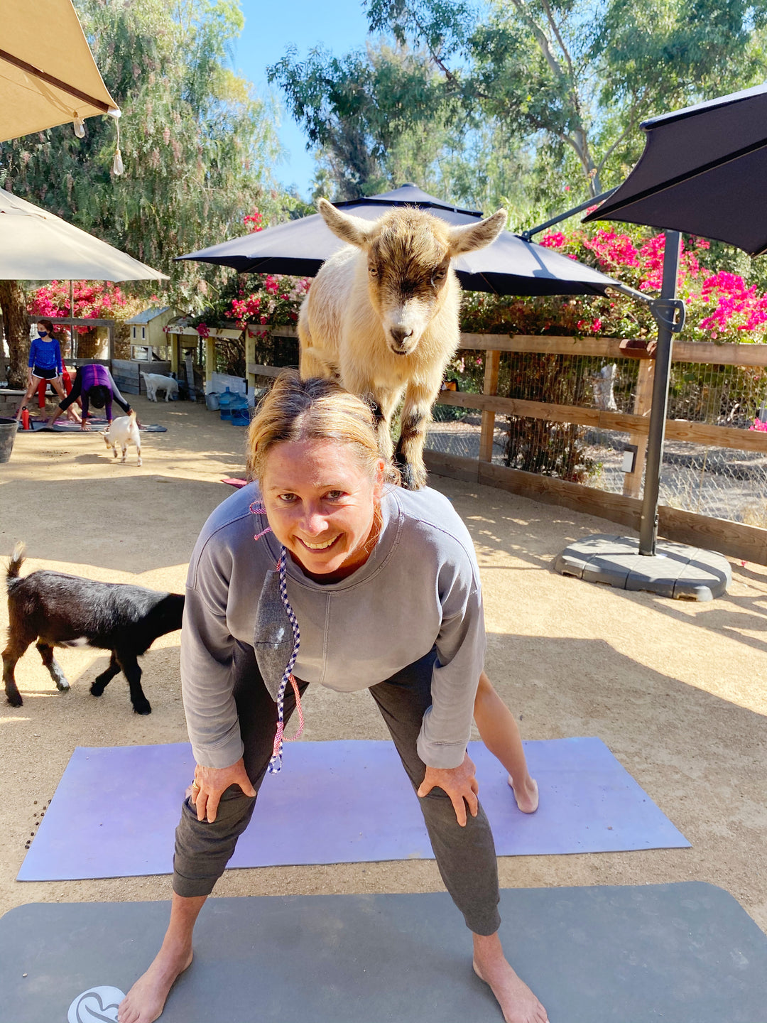 Yin Yoga with Baby Goats